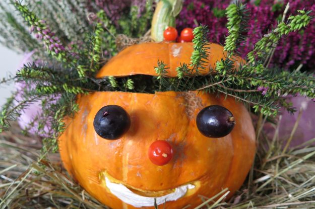 Crodo d’autunno 2016