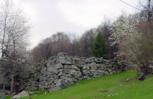 muro arvenolo 3